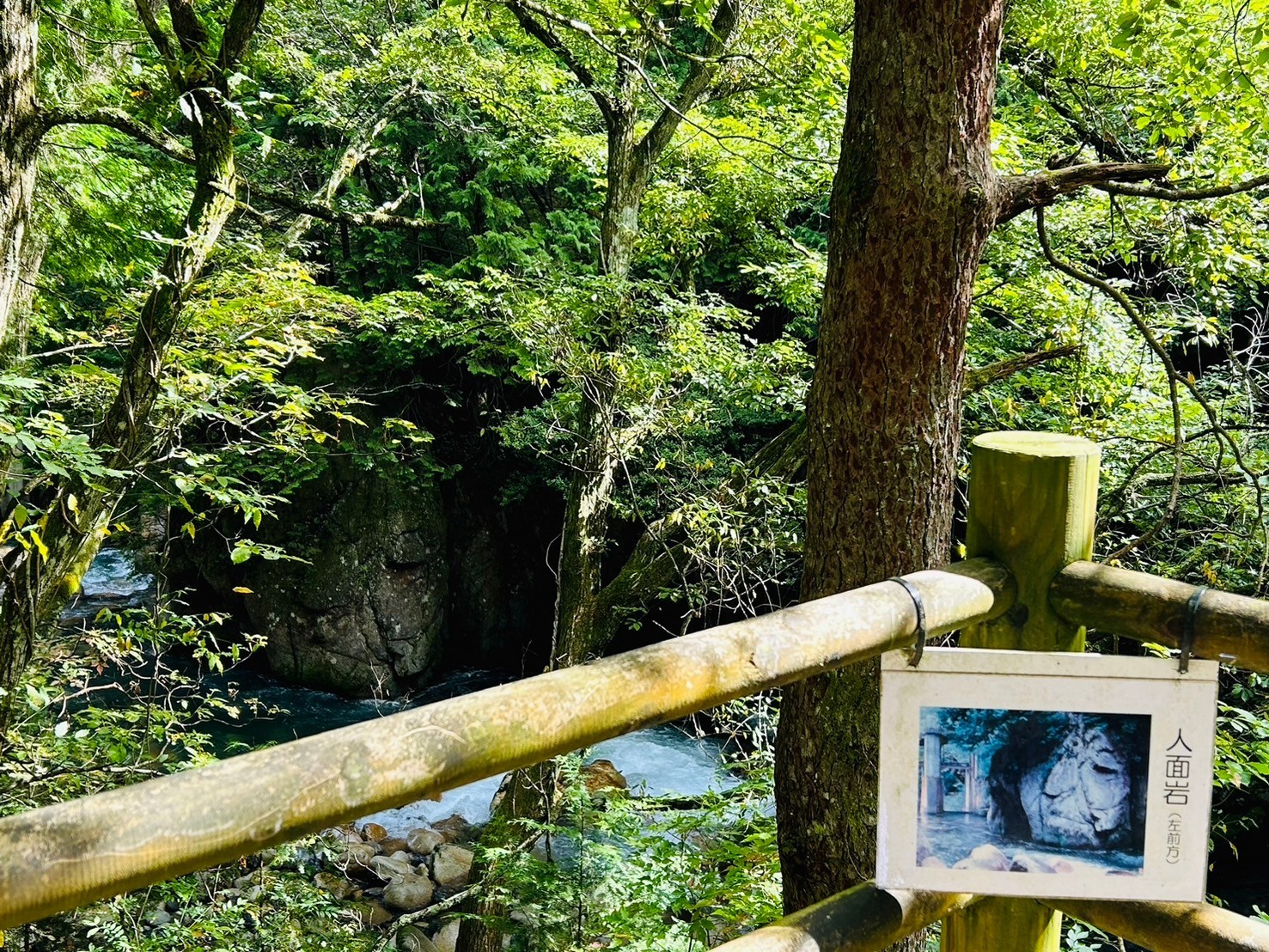 烏川渓谷緑地【人面岩】-ぞっとするほど人の顔-