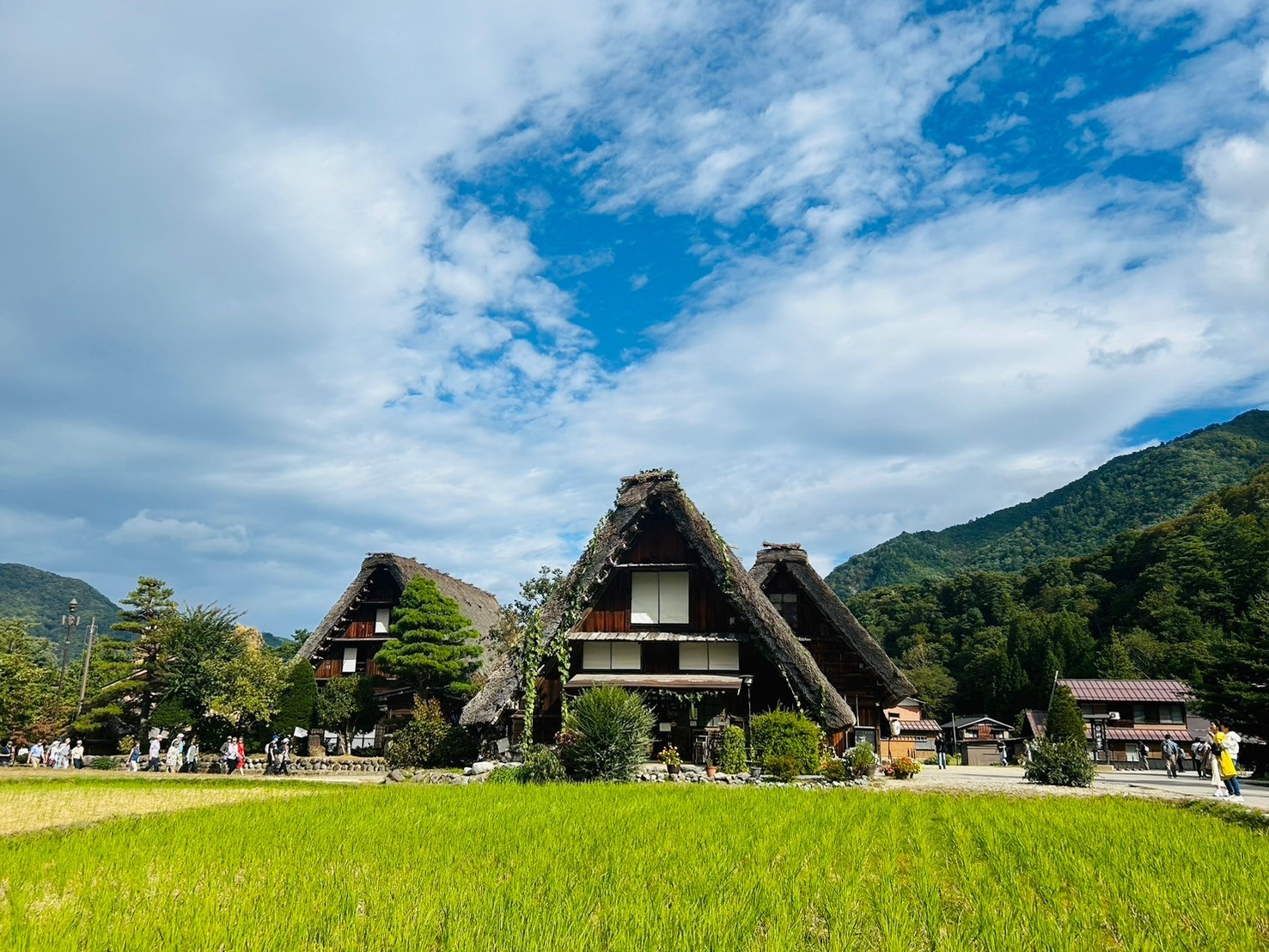 タイランドショーで人気【下呂温泉 ホテルくさかべアルメリア】に宿泊＆白川郷合掌造り、下呂温泉街を散策